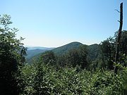 P7090024.JPG