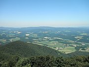 P7090027.JPG