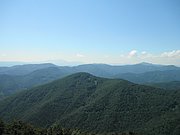 P7090029.JPG