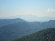 P7090030.JPG