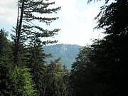 P7090042.JPG