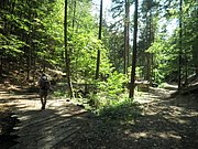 P7090045.JPG