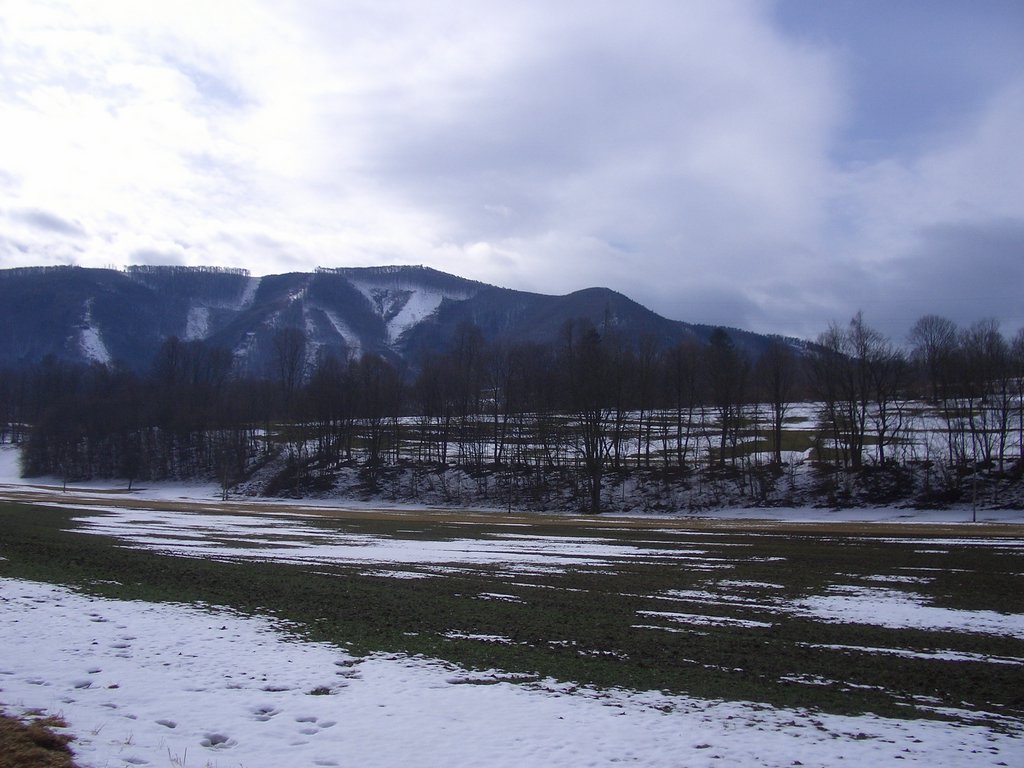CIMG7190.JPG