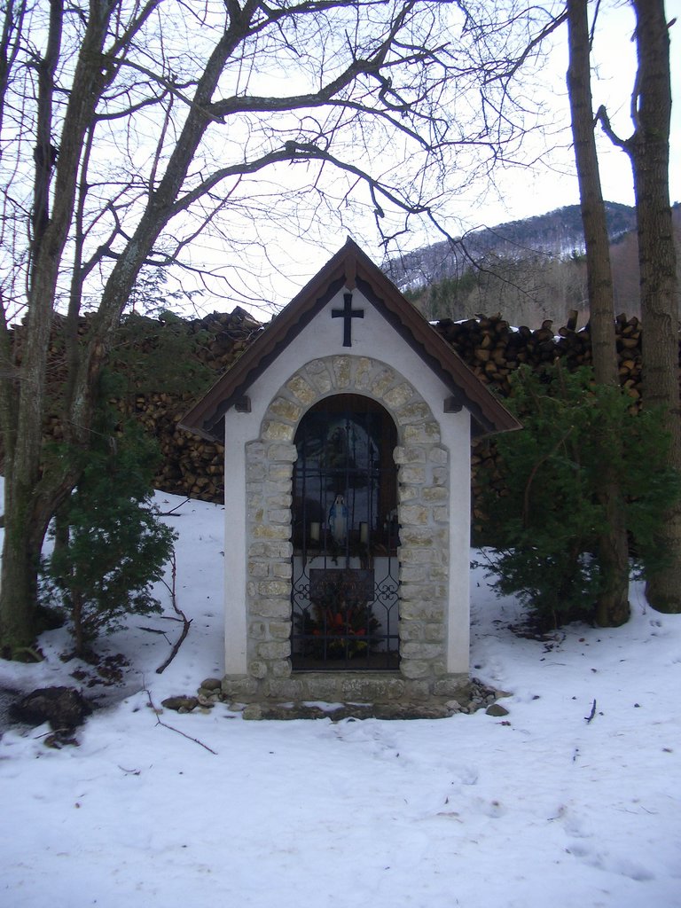 CIMG7193.JPG