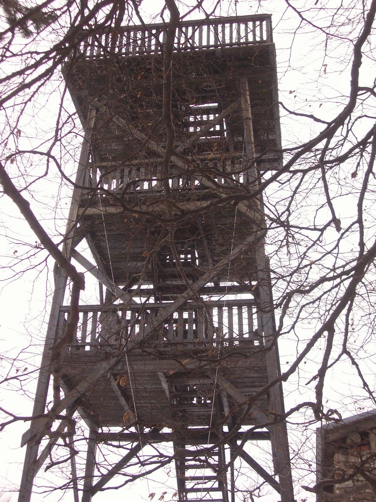 CIMG7202.JPG