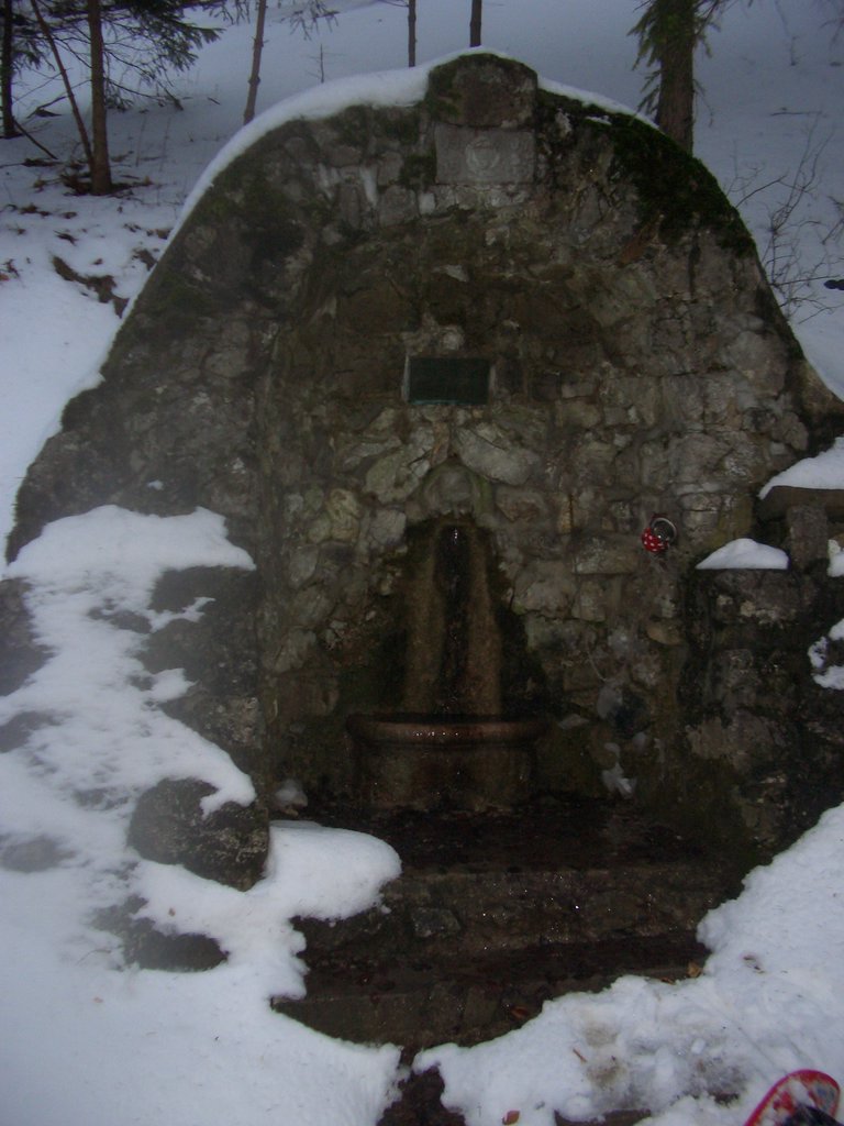CIMG7213.JPG