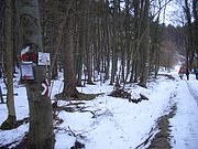 CIMG7194.JPG