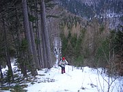 CIMG7198.JPG
