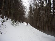 CIMG7212.JPG