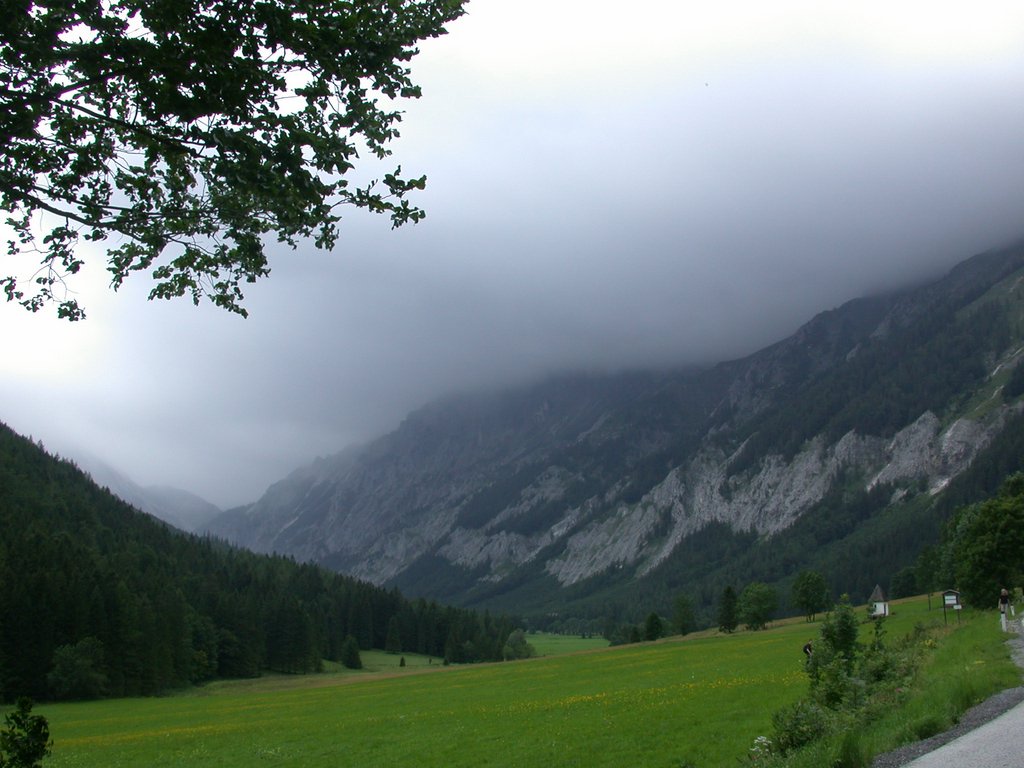 DSCN6568.JPG