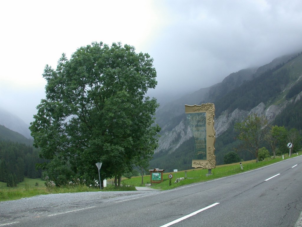 DSCN6571.JPG