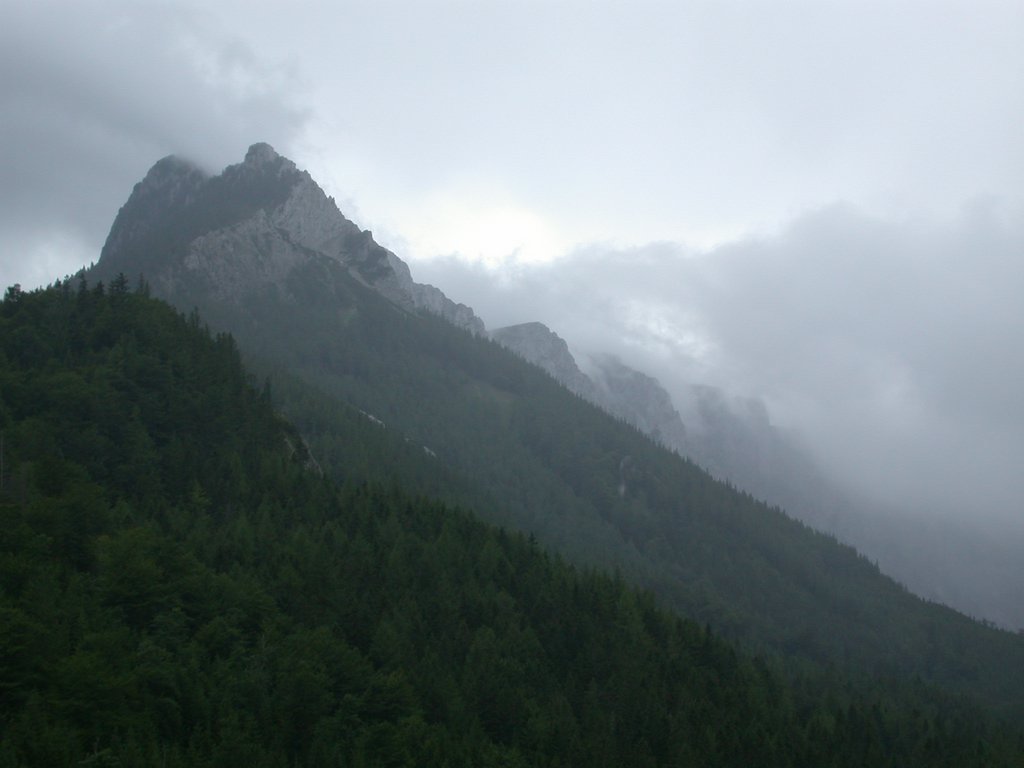 DSCN6572.JPG