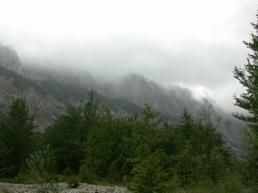 DSCN6584.JPG