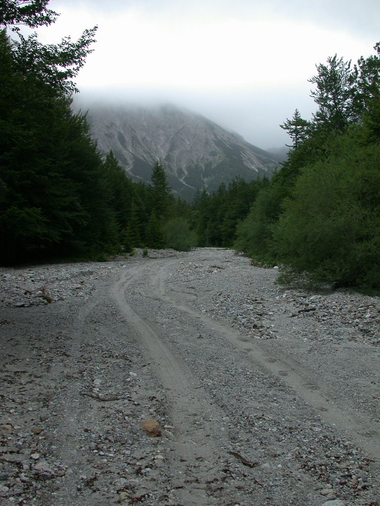 DSCN6585.JPG
