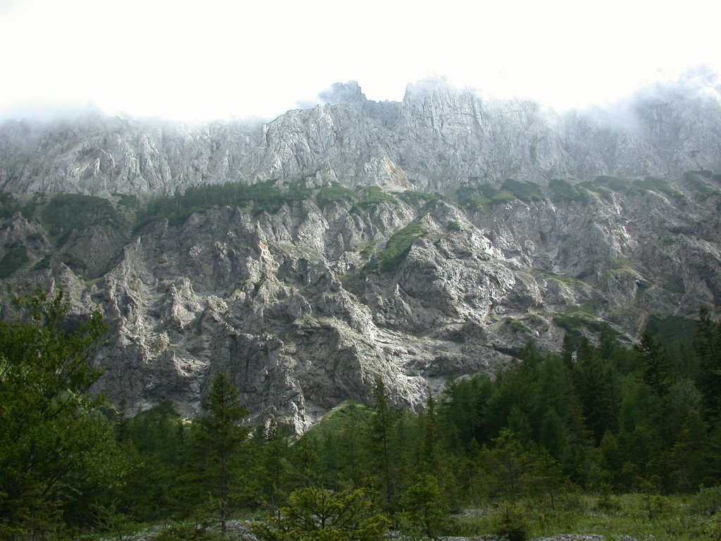 DSCN6588.JPG