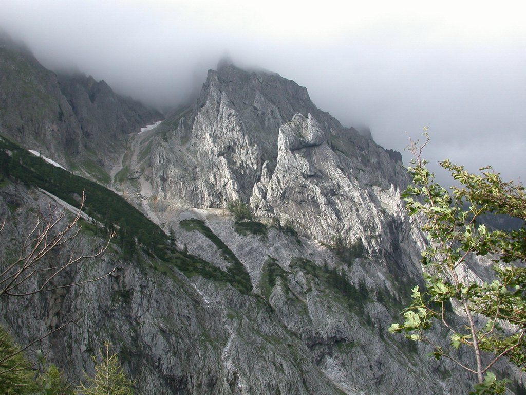 DSCN6597.JPG