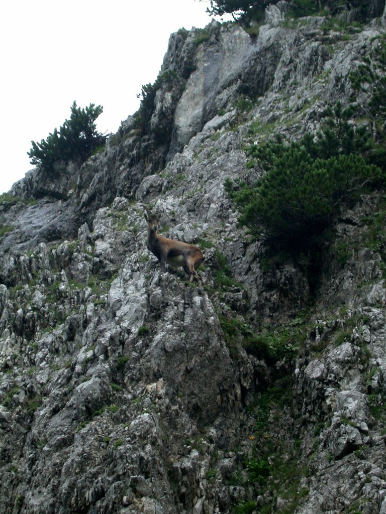 DSCN6628.JPG