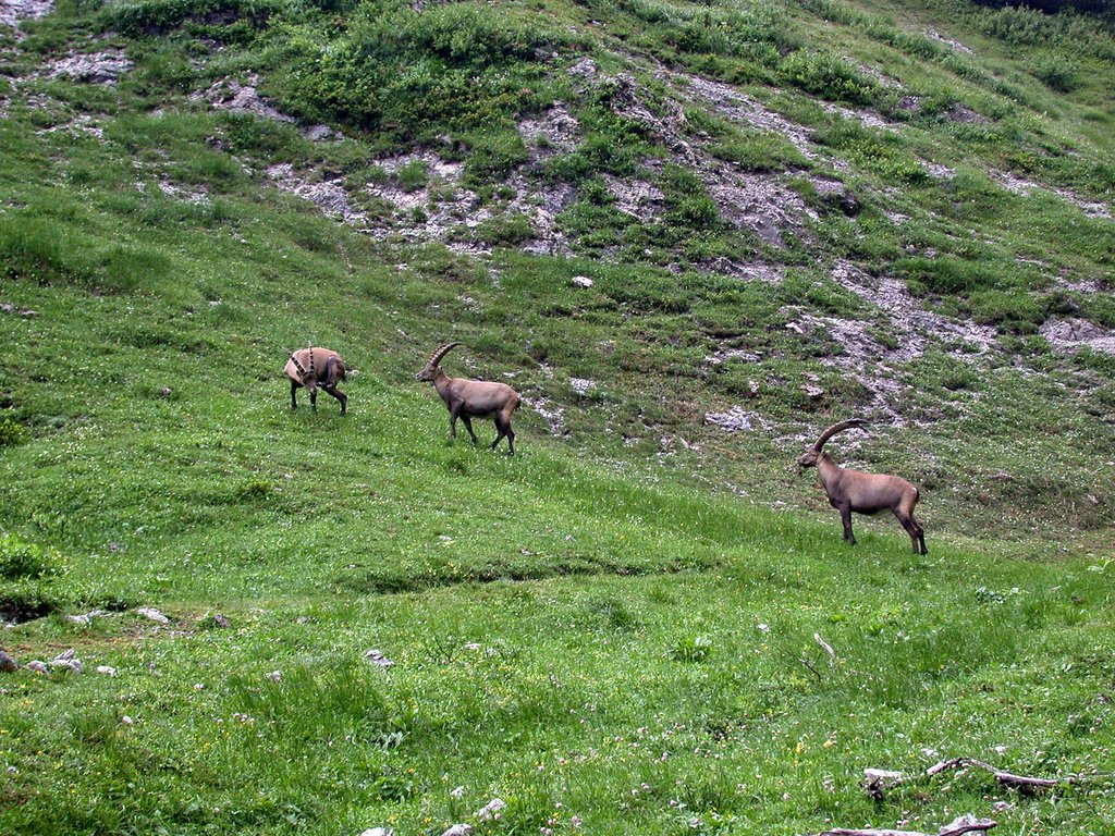 DSCN6630.JPG