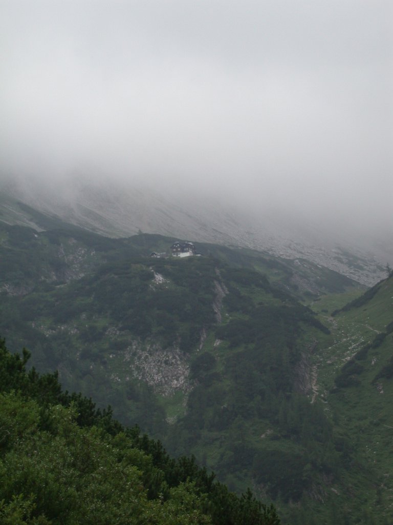 DSCN6636.JPG