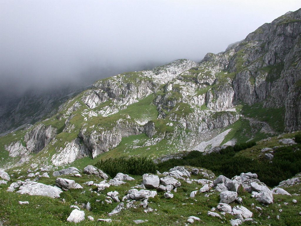 DSCN6656.JPG