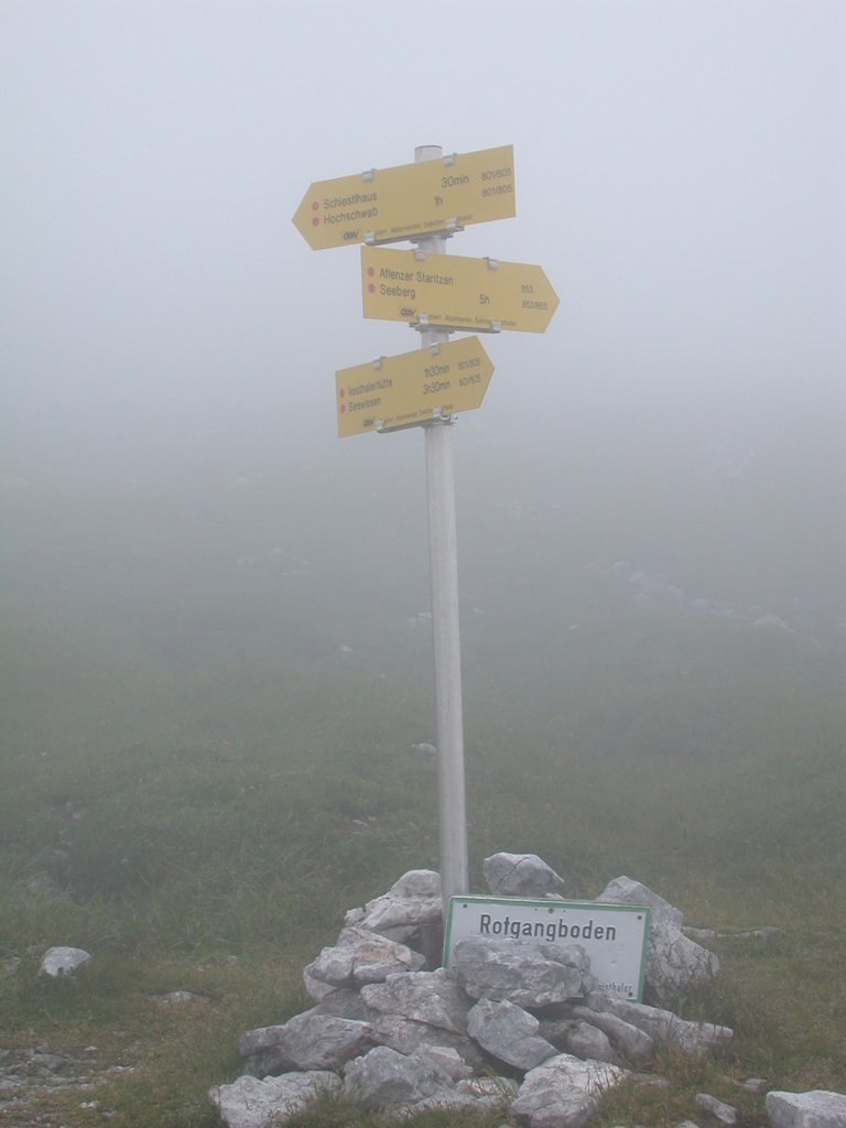DSCN6673.JPG