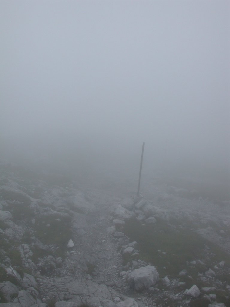 DSCN6680.JPG