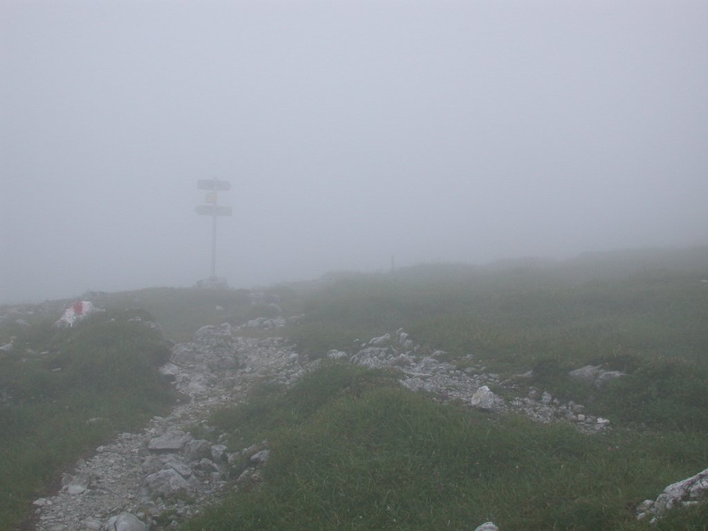 DSCN6681.JPG