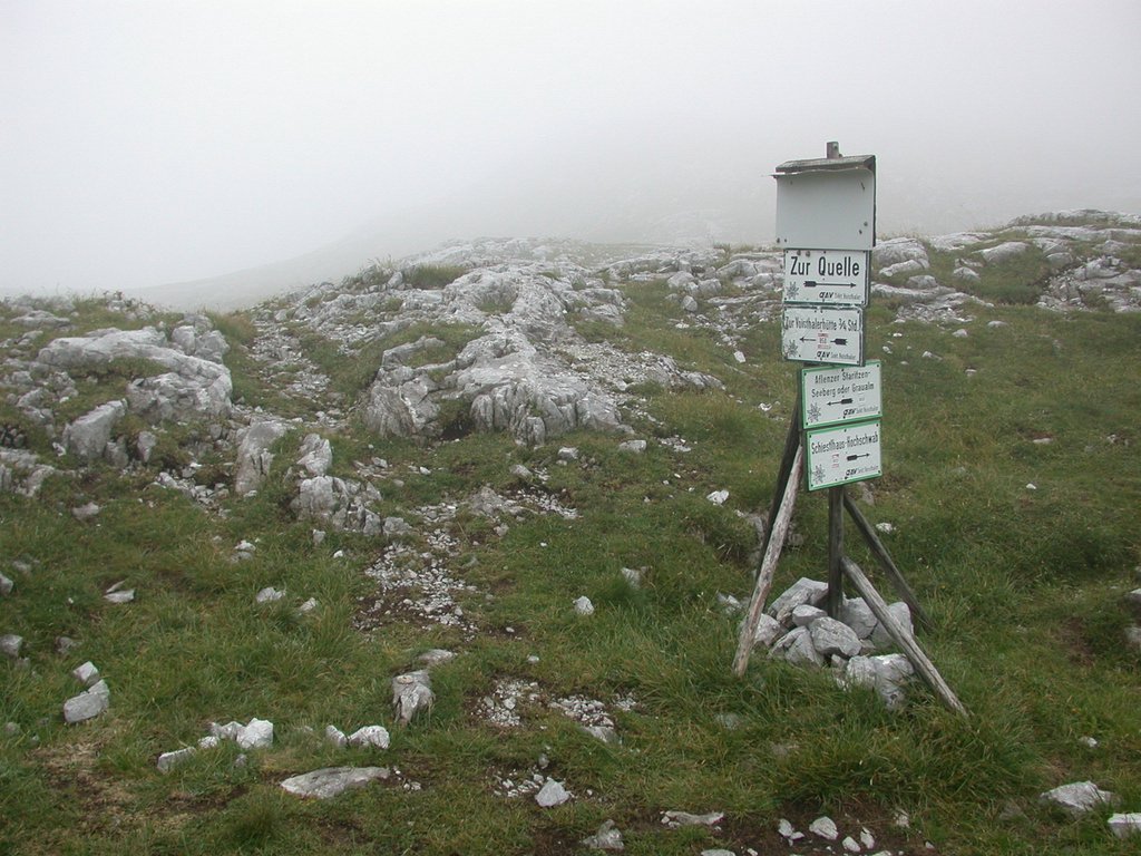 DSCN6690.JPG