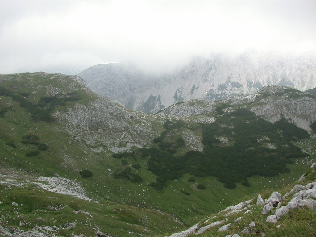 DSCN6694.JPG