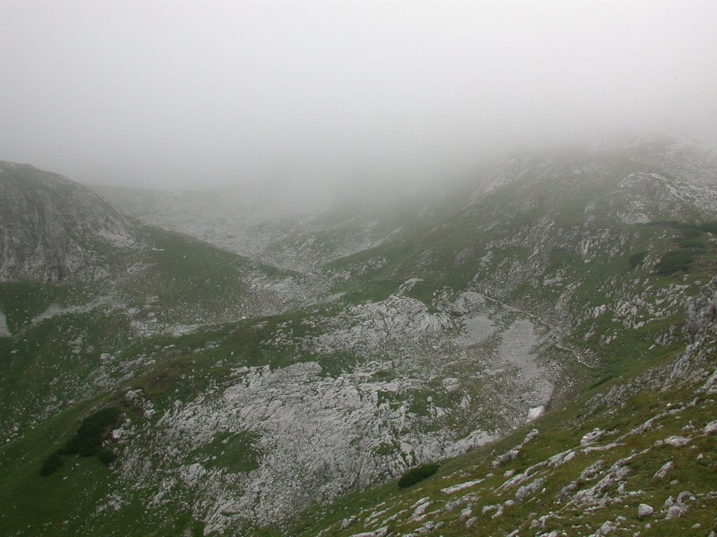 DSCN6698.JPG
