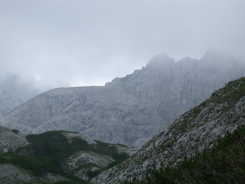 DSCN6699.JPG