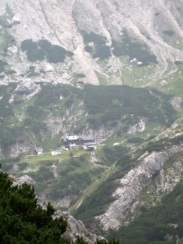 DSCN6700.JPG