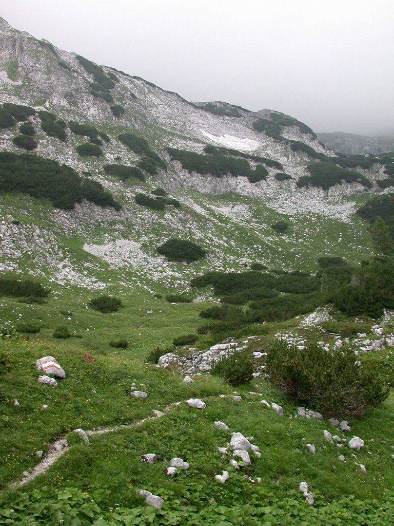 DSCN6705.JPG