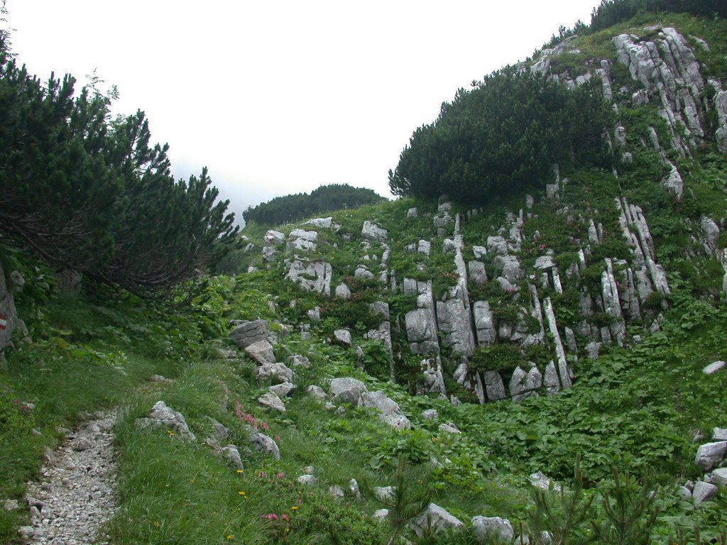 DSCN6708.JPG