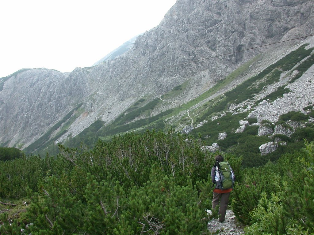DSCN6738.JPG