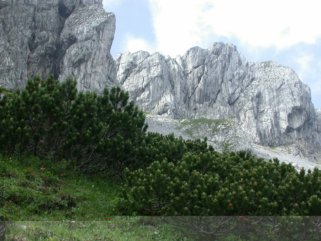 DSCN6740.JPG
