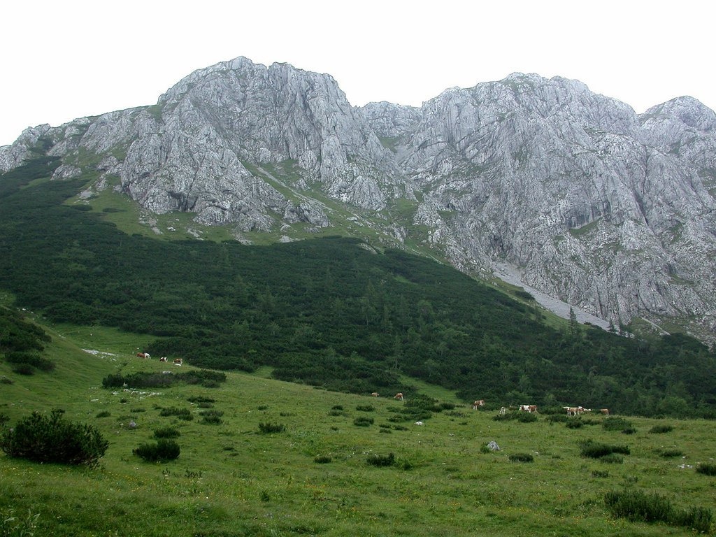 DSCN6750.JPG