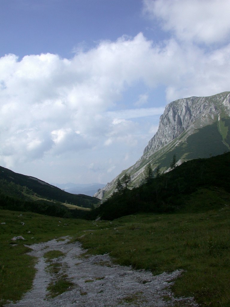 DSCN6751.JPG