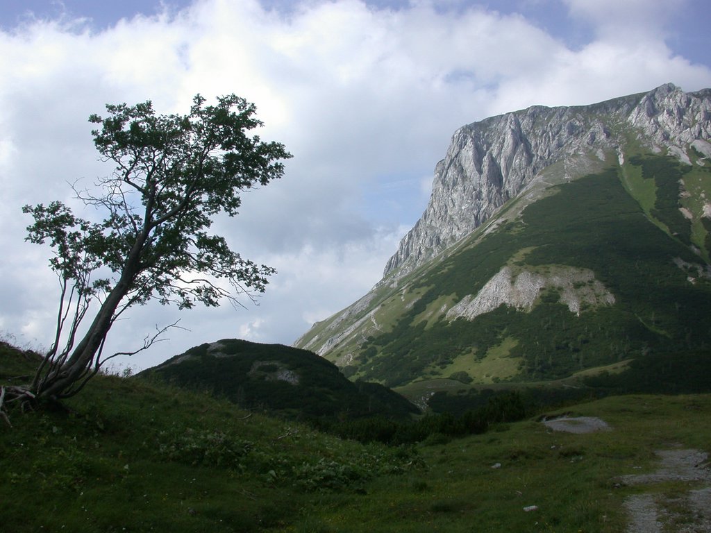 DSCN6754.JPG