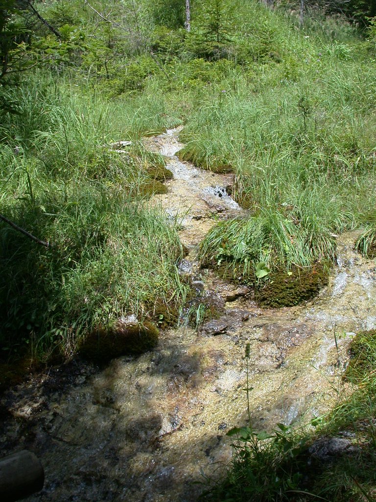DSCN6773.JPG