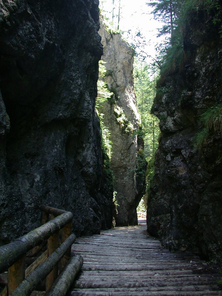 DSCN6779.JPG
