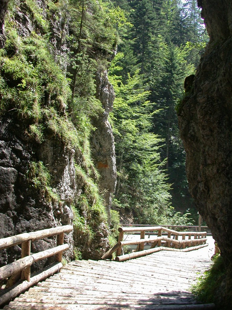 DSCN6782.JPG