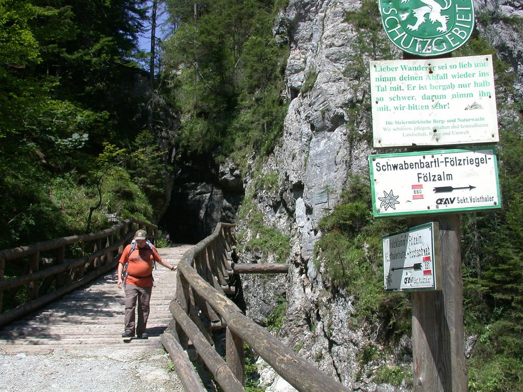 DSCN6784.JPG
