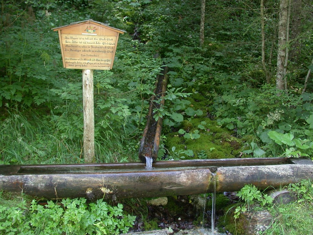 DSCN6790.JPG