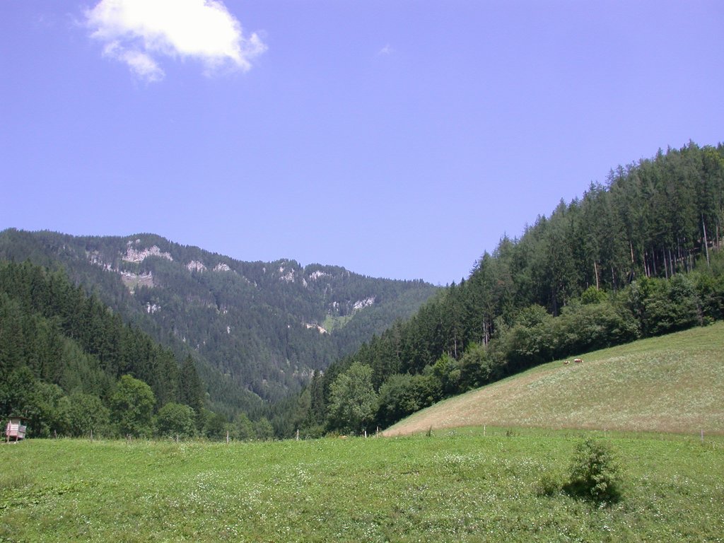 DSCN6792.JPG