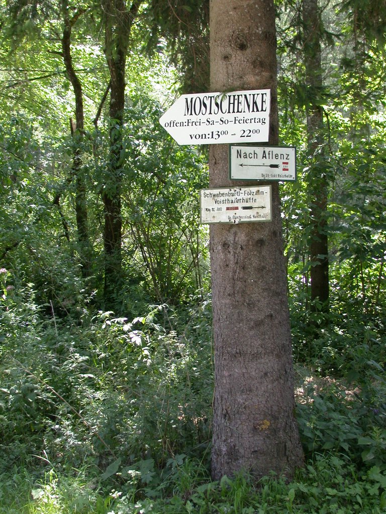 DSCN6795.JPG