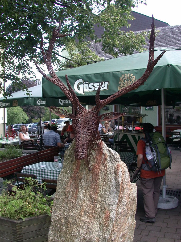 DSCN6800.JPG