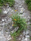 DSCN6609.JPG