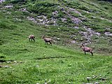 DSCN6630.JPG