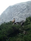 DSCN6644.JPG